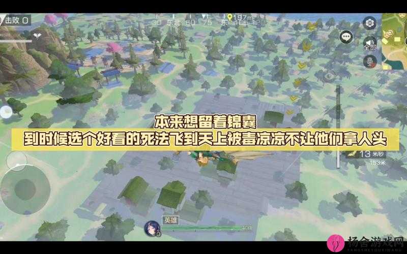 风云岛行动深度攻略，全面剖析锦囊使用技巧与高效获取心得